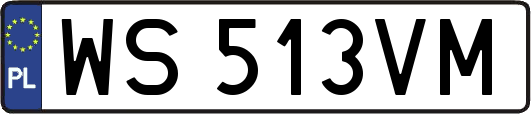WS513VM