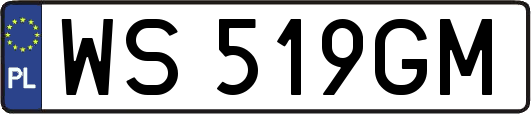 WS519GM
