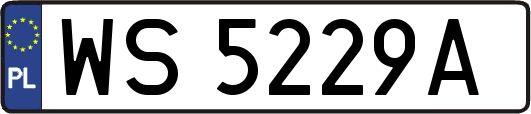 WS5229A