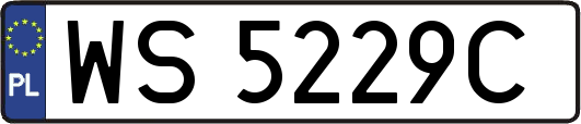 WS5229C