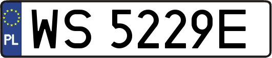 WS5229E