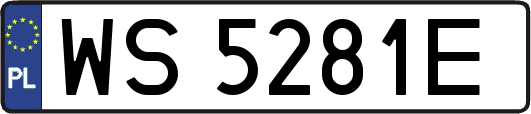 WS5281E