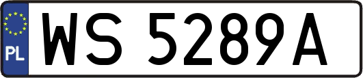 WS5289A