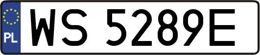 WS5289E