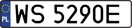 WS5290E