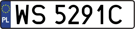 WS5291C