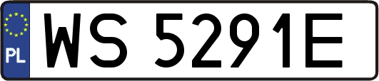 WS5291E