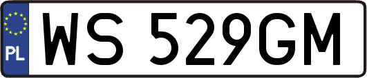 WS529GM