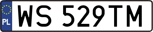 WS529TM