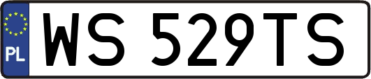 WS529TS