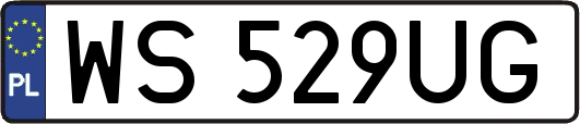 WS529UG