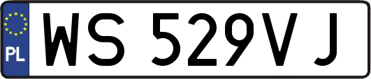 WS529VJ