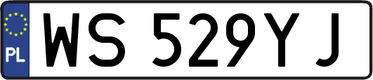 WS529YJ