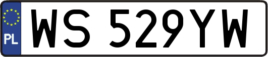 WS529YW