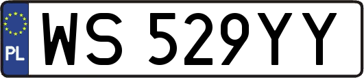 WS529YY