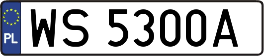 WS5300A