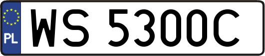 WS5300C