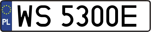 WS5300E