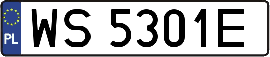 WS5301E