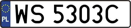 WS5303C
