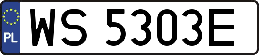 WS5303E