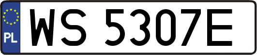 WS5307E