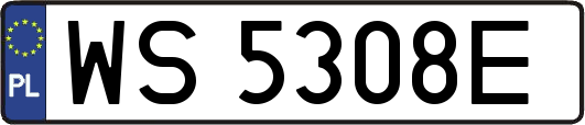 WS5308E