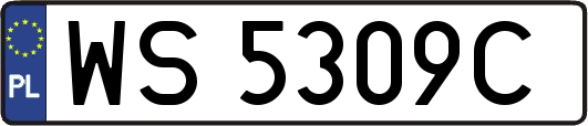 WS5309C