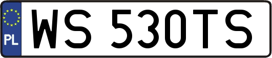 WS530TS