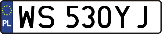 WS530YJ