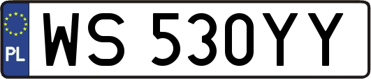 WS530YY