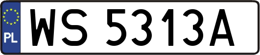 WS5313A