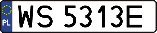 WS5313E