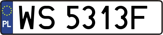 WS5313F
