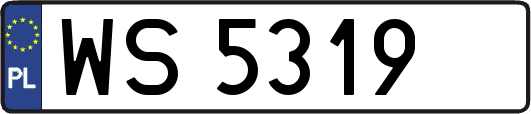 WS5319