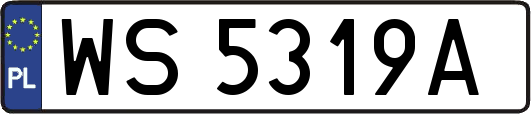 WS5319A