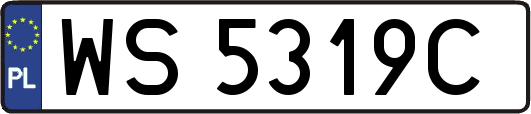 WS5319C