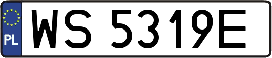 WS5319E