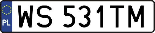 WS531TM