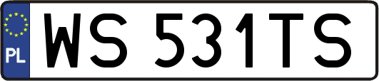 WS531TS