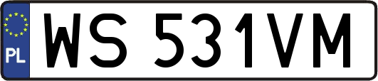 WS531VM
