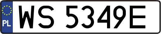 WS5349E