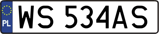 WS534AS
