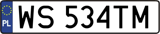 WS534TM