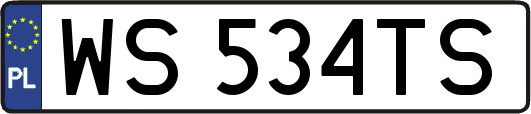 WS534TS