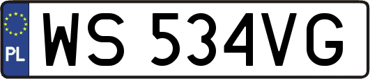 WS534VG