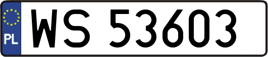 WS53603