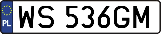 WS536GM