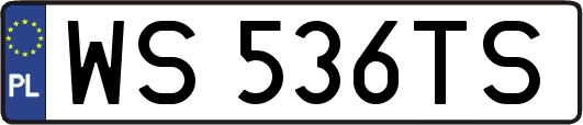 WS536TS
