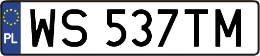 WS537TM